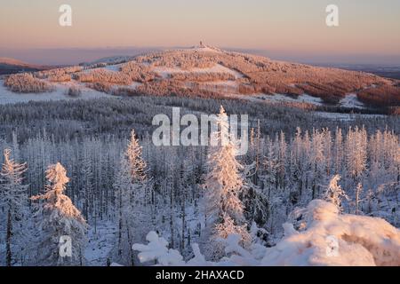 Pastellfarbenes Winterwunderland im Nationalpark Harz, Harz, Deutschland. Schneebedeckter Wald auf dem Wurmberg bei Braunlage, Niedersachsen. Stockfoto