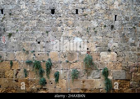 Alte Steinmauer mit Pflanzen, die darauf wachsen Stockfoto