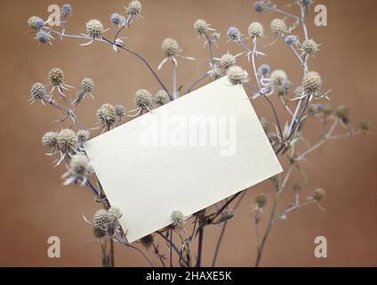 Leeres Vintage-Blatt Papier auf einem Zweig einer trockenen dornigen Pflanze. Beigefarbener Hintergrund, geringe Schärfentiefe. Das Konzept der Natürlichkeit. Stockfoto