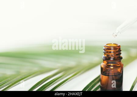 Das ätherische Öl aus der Nahaufnahme tropft von der Pipette in die Flasche. Aromatherapie-Produkt neben grünem Palmblatt auf weißem Hintergrund mit Kopierraum Stockfoto