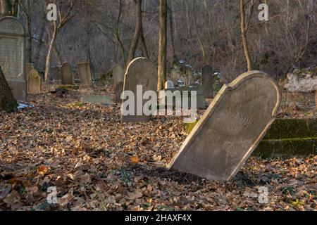 Alte alte alte verlassene jüdische Friedhof im Wald im Winter. Gealterte Grabsteine oder Grabsteine auf dem Friedhof. Stockfoto