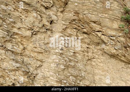 Nahaufnahme einer Felsstruktur Stockfoto