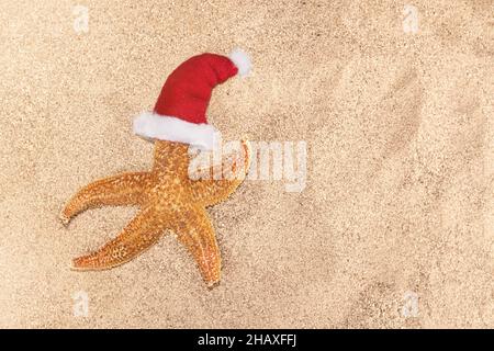 Seesterne in rotem Weihnachtsmannhut auf Sand. Sonnig. Konzept für Weihnachten, Neujahr auf See, Urlaub, Strand. Speicherplatz kopieren Stockfoto