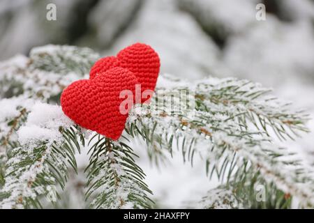 Liebe Herzen im Schnee auf Tannenzweigen. Hintergrund für Weihnachten und Neujahr oder Valentinstag Stockfoto