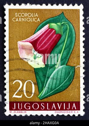 JUGOSLAWIEN - UM 1959: Eine in Jugoslawien gedruckte Marke zeigt Henbane Bell, Scopolia Carniolica, Poisonous Plant, um 1959 Stockfoto