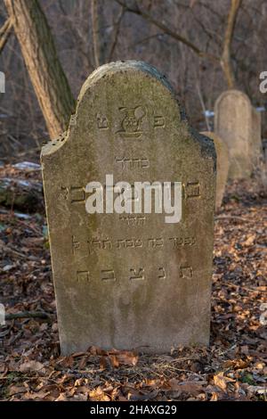 Alte alte alte verlassene jüdische Friedhof im Wald im Winter. Gealterte Grabsteine oder Grabsteine auf dem Friedhof. Stockfoto