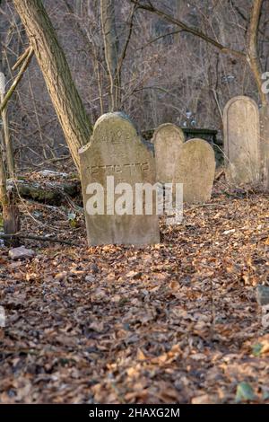 Alte alte alte verlassene jüdische Friedhof im Wald im Winter. Gealterte Grabsteine oder Grabsteine auf dem Friedhof. Stockfoto