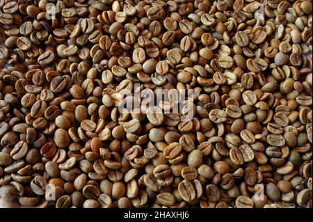 Kaffeebohnen RAW Nahaufnahme Foto isoliert auf weißem Hintergrund Stockfoto