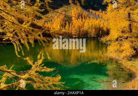 Palpuogna-See im Herbst, Preda, Kanton Graubünden, Schweiz Stockfoto