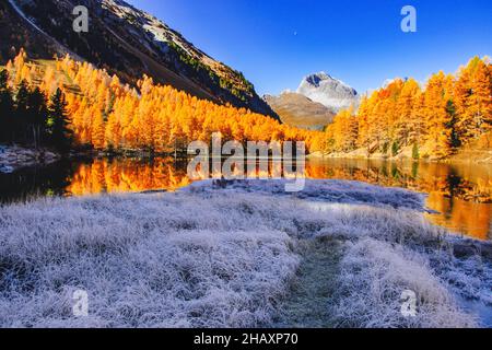 Lai da Palpuogna, Albula Pass, Bergun, Graubünden, Schweiz Stockfoto