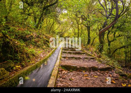 Levada dos 25 fontes, Madeira, Portugal Stockfoto