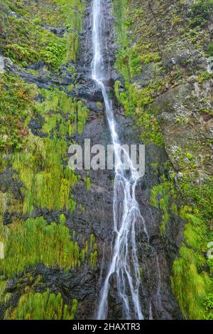 Levada dos 25 fontes, Madeira, Portugal Stockfoto