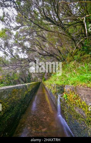 Levada dos 25 fontes, Madeira, Portugal Stockfoto