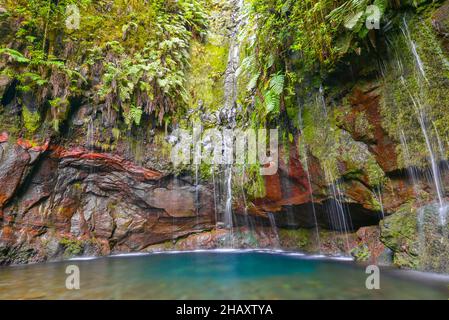 Levada dos 25 fontes, Madeira, Portugal Stockfoto