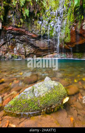 Levada dos 25 fontes, Madeira, Portugal Stockfoto