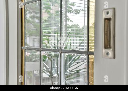 Fenster mit metallischen Trennwänden in Loft-Wohnung in der Nähe der weißen Wand mit Blick auf grüne Topfpflanze im Sommer Tag Stockfoto