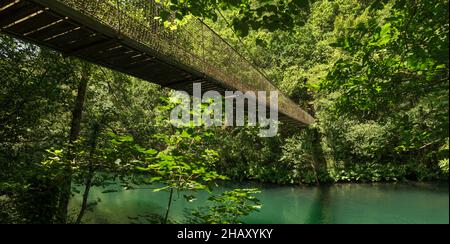 Malerischer Blick auf die Holzbrücke über den Teich im grünen Dickicht des Parks Fragas do Eume bei Tageslicht in Spanien Stockfoto