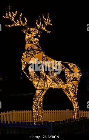 Bournemouth, Dorset, Großbritannien. Dezember 2021. Besucher, Familien und begeisterte Kinder strömen an einem milden Abend in die Bournemouth Gardens, um das Bournemouth Christmas Tree Wonderland mit mehr als 100 glitzernden Bäumen und Lichtern zu erleben. Einige der Bäume repräsentieren sechs Städte auf der ganzen Welt. Besucher können dem Weg folgen. Quelle: Carolyn Jenkins/Alamy Live News Stockfoto