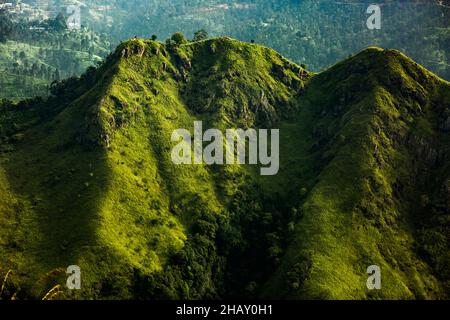 Massive steile Bergkette mit grünem Gras und Bäumen bedeckt, die am Sommertag in der Nähe von Wald in der Natur Sri Lankas wachsen Stockfoto