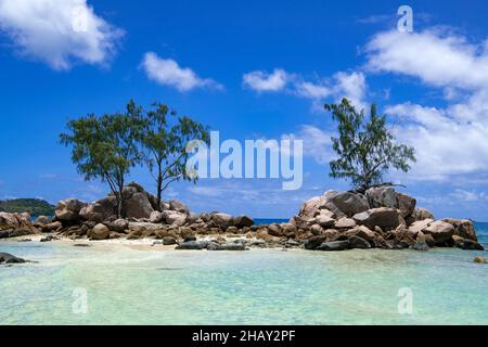 Malerische felsige kleine Insel mit drei Bäumen Anse Takamaka Praslin Seychellen Stockfoto