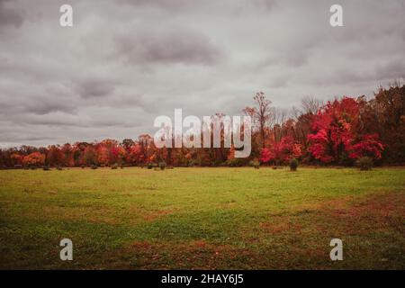 Schöne Landschaft mit herbstbunten Bäumen Stockfoto