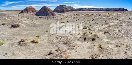 Die Tipis versteinert Forest National Park, Arizona, USA Stockfoto