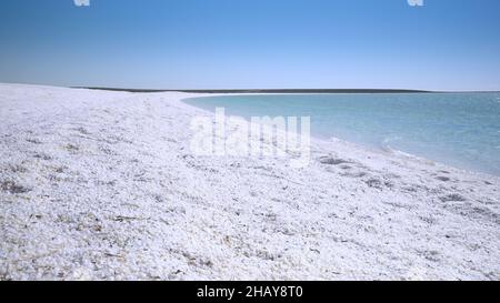 Flammender Muschelstrand an der Shark Bay Stockfoto