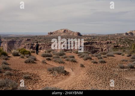 Wanderer, die auf dem Neck Spring Trail mit Blick auf die canyonlands unterwegs sind Stockfoto