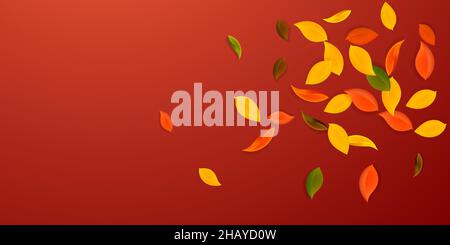 Herbstliche Blätter fallen. Rot, gelb, grün, braun ordentliche Blätter fliegen. Explosion buntes Laub auf klassisch rotem Hintergrund. Fesselnd zurück in die Schule Stock Vektor