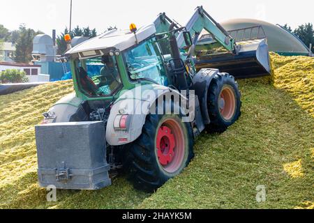 Gewinnung von Silage Stockfoto