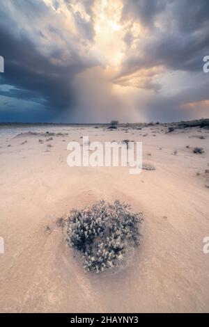 Dramatisches Gewitter über der sandigen Outback-Landschaft, Südaustralien, Australien Stockfoto