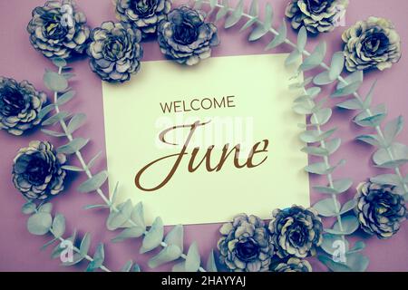 Willkommen Juni Typografie Text und Blume schmücken auf lila Hintergrund Stockfoto