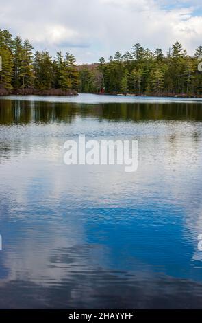 Ein Bergsee in einem Fichten-Tannen-nördlichen Hartholzwald. Fichtenbäume an einer felsigen Küste. Eine rote Hütte am See, in der Ferne. Wasserkocher Teich, VT Stockfoto