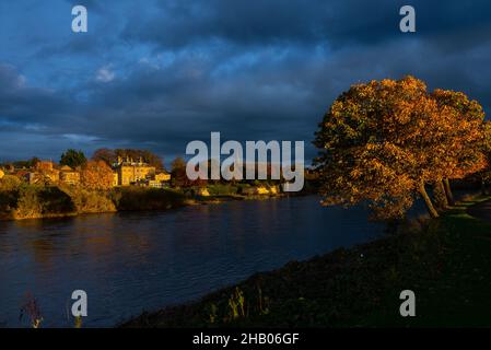 Kelso badete im Spätherbst in der Abendsonne vom Junction Pool am River Tweed, Scottish Borders, Schottland, Großbritannien Stockfoto