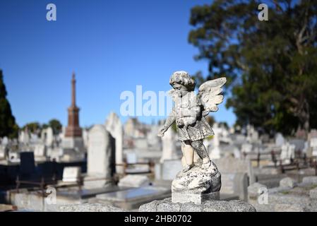 Steinskulptur eines kleinen Engels oder Cherubs, die an einem sonnigen Tag trauernd Blumen auf einem Friedhof streuen Stockfoto