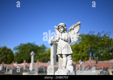 Steinskulptur eines kleinen Engels oder Cherubs, der an einem sonnigen Tag auf einem Friedhof betet Stockfoto