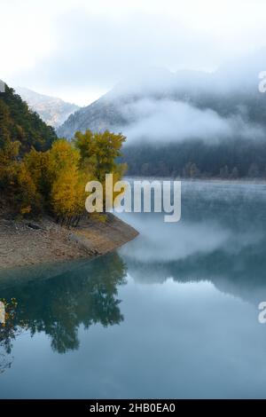 Nebelmorgen oder nebeliger Morgen am Chaudanne-See in den Gorges du Verdon oder im Regionalpark Verdon Gorge oder im Naturschutzgebiet Alpes-de-Haute-Provence Frankreich Stockfoto