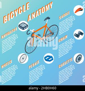 Infografik zum Fahrrad-Anatomiekonzept. Vektor-Satz von Fahrradteilen isoliert isometrische Symbole. Fahrradobjekte und Designelemente. Fahrradreparaturgetriebe Stock Vektor