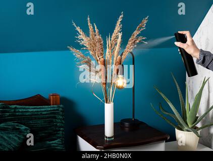 Person mit Haarspray für die Erhaltung getrockneten natürlichen verschiedenen Graspflanzen Verbreitung von Samen und Streuung in zu Hause. Stockfoto