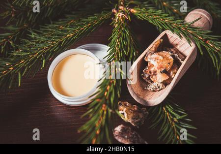 Fichtenbaum Picea abies Kräuterharz Lotion in Glas und Stücke auf Holzlöffel, mit frischen Fichtenzweige verziert. Mit Fichtenharz. Stockfoto