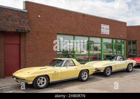 BERGLEY, MI/USA - 17. AUGUST 2021: Zwei Chevrolet Corvettes (C2) auf der Woodward Dream Cruise Route. Stockfoto