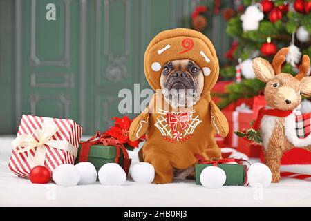 Hund trägt Weihnachtskostüm. Französische Bulldogge, verkleidet als Lebkuchenmann, mit Armen, umgeben von festlicher Dekoration Stockfoto