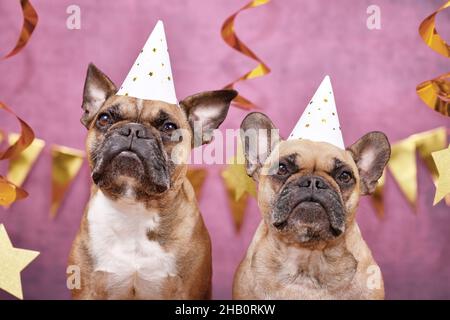 Ein Paar französische Bulldoggen, die die Silvesterparty-Hüte vor einem rosa Hintergrund tragen, der mit goldenen Girlanden verziert ist Stockfoto