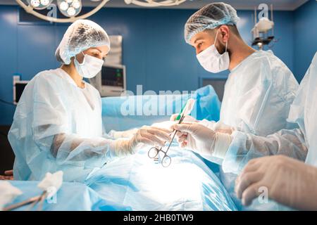 Ein internationales Ärzteteam führt eine komplexe chirurgische Operation an einem unter Anästhesie stehenden Patienten durch. Moderner Operationssaal und erfahrene Chirurgen Stockfoto