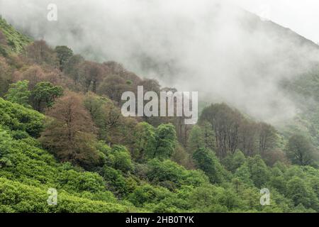 Der Naturpark Tunca-Tal am Fuße des Altınparmak-Gebirges ist ein faszinierender Ort mit seinen Wäldern, Blumen, Stein- und Holzhäusern... Stockfoto