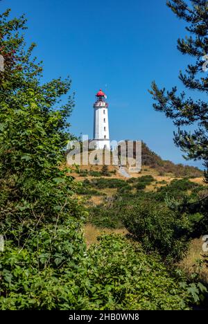 Dornbusch Leuchtturm Auf Der Insel Hiddensee In Mecklenburg-Vorpommern, Deutschland, Europa Stockfoto