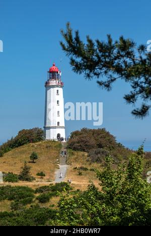 Dornbusch Leuchtturm Auf Der Insel Hiddensee In Mecklenburg-Vorpommern, Deutschland, Europa Stockfoto