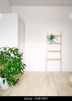 Helle Raumeinrichtung mit grünen Pflanzen im skandinavischen Design. Stockfoto