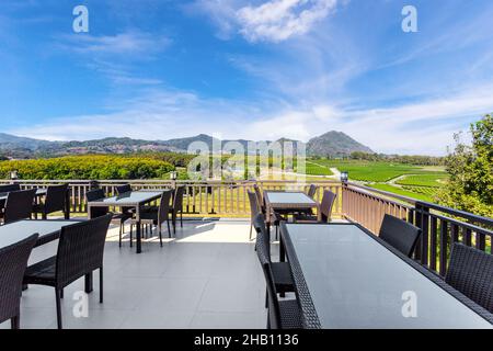 Blick auf die Tea Plantation Fields vom Restaurant im Sommer mit blauem Himmel und Bergen. Stockfoto