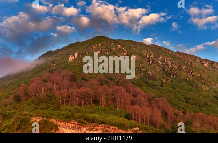 Der Naturpark Tunca-Tal am Fuße des Altınparmak-Gebirges ist ein faszinierender Ort mit seinen Wäldern, Blumen, Stein- und Holzhäusern... Stockfoto